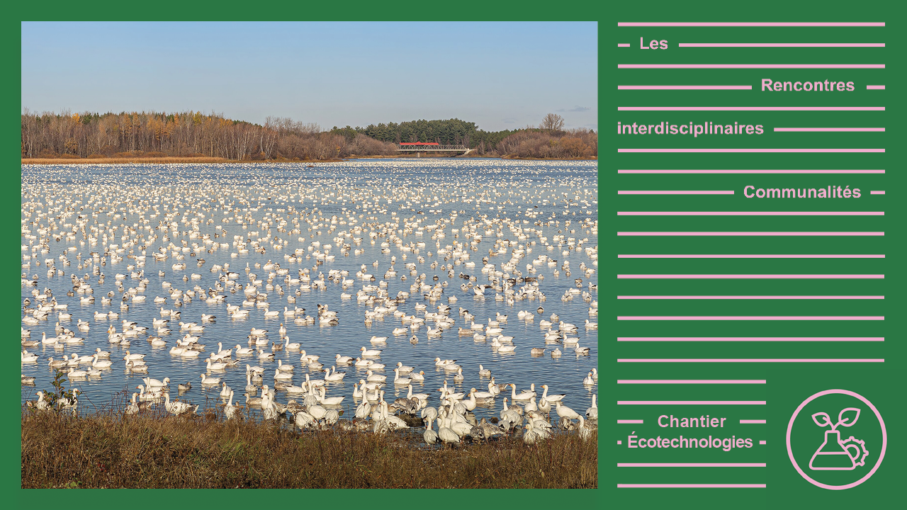 Parc du réservoir Beaudet