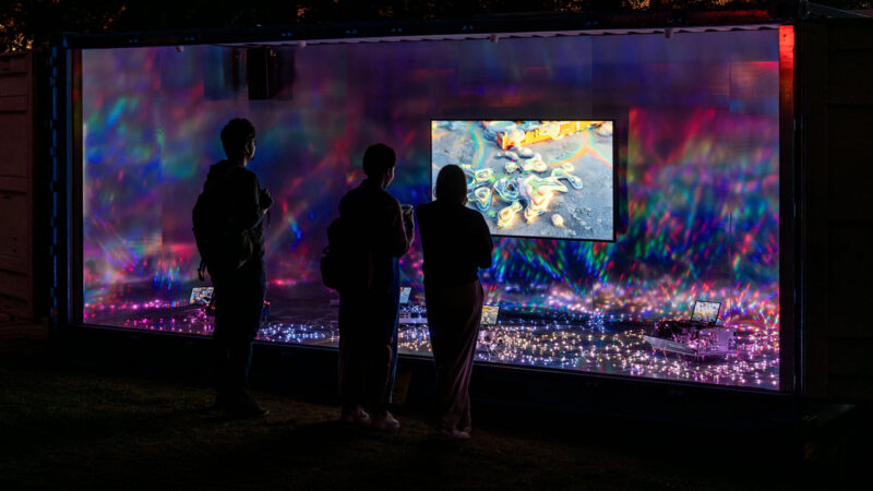 Trois silouhettes regarde une projection vidéo numérique